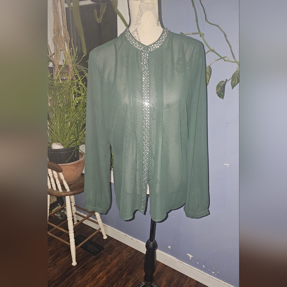 3/20.00 Venus sheer chiffon blouse